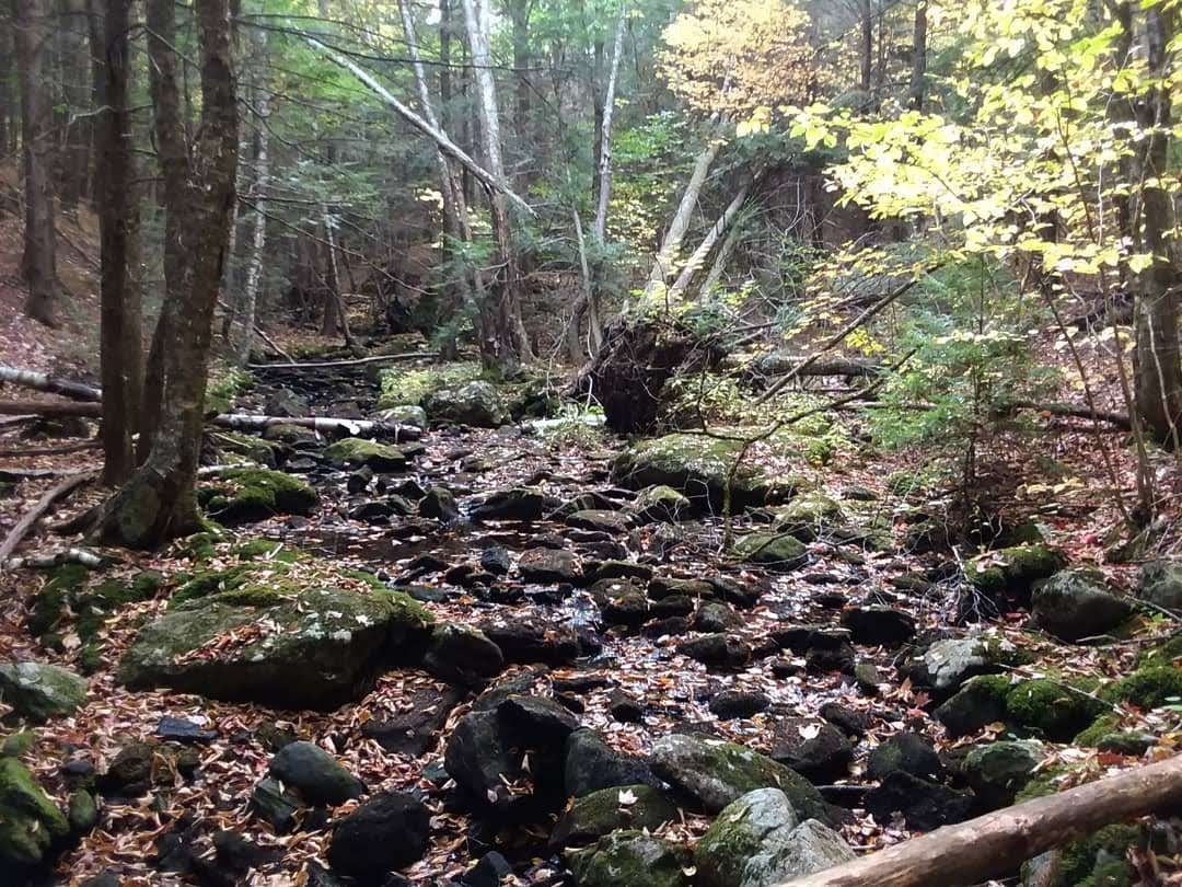 img_20191019_221228_132-2