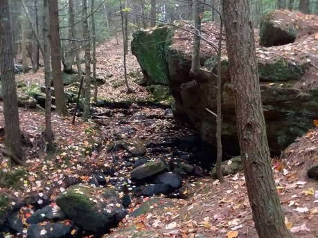 img_20191019_221228_135-2