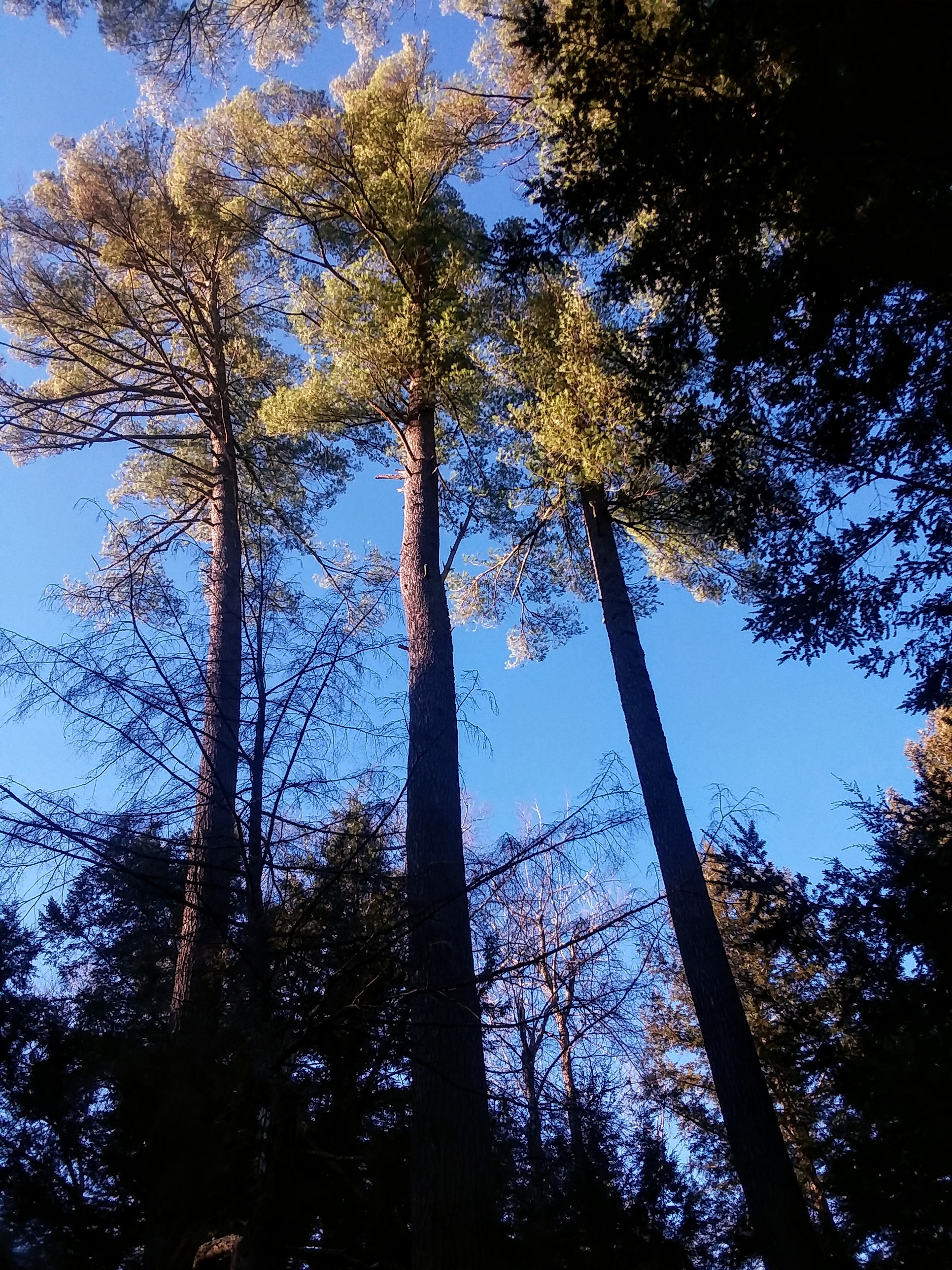 20191116_143318~2[1]