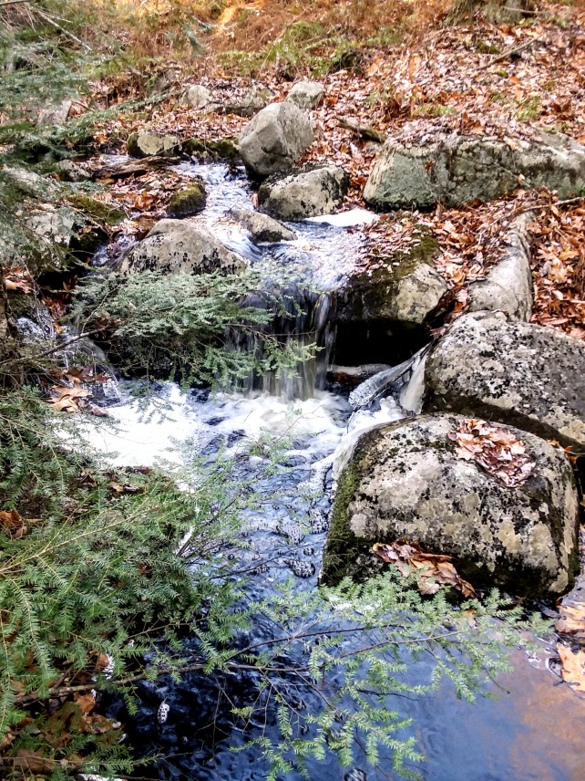 20191116_144125~2[1]