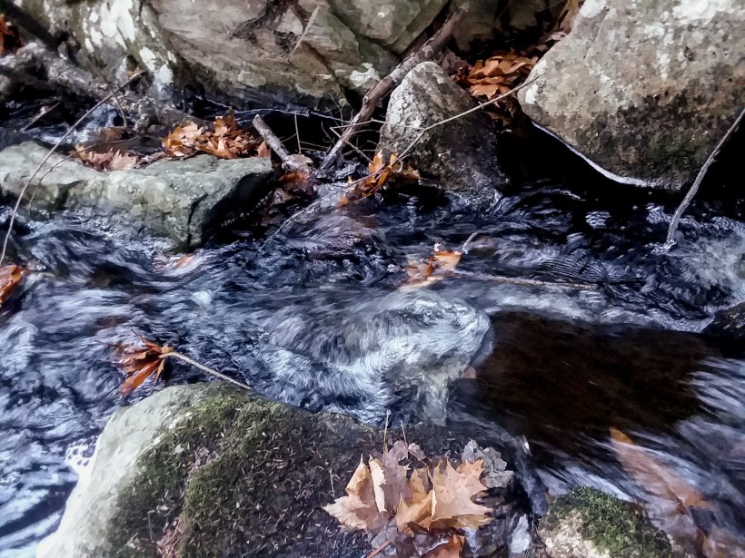 20191116_144501~2[2]