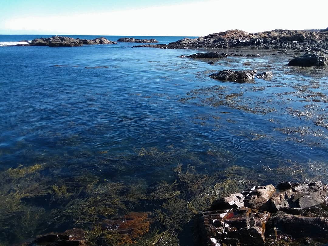 IMG_20200301_202515_177