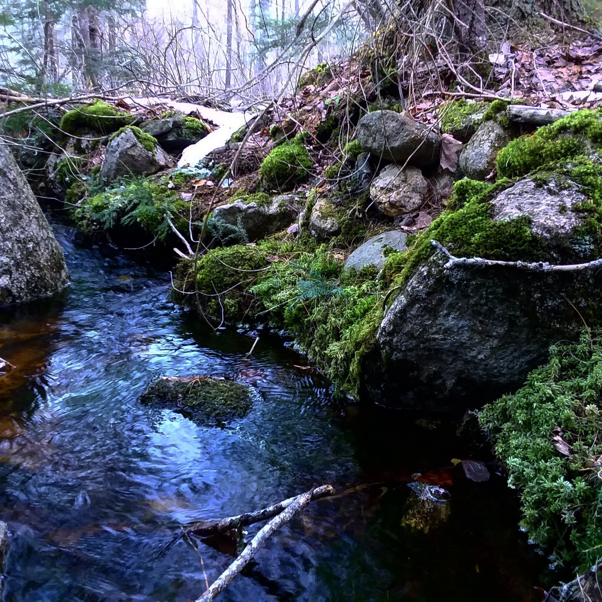 img_20200308_204632_598