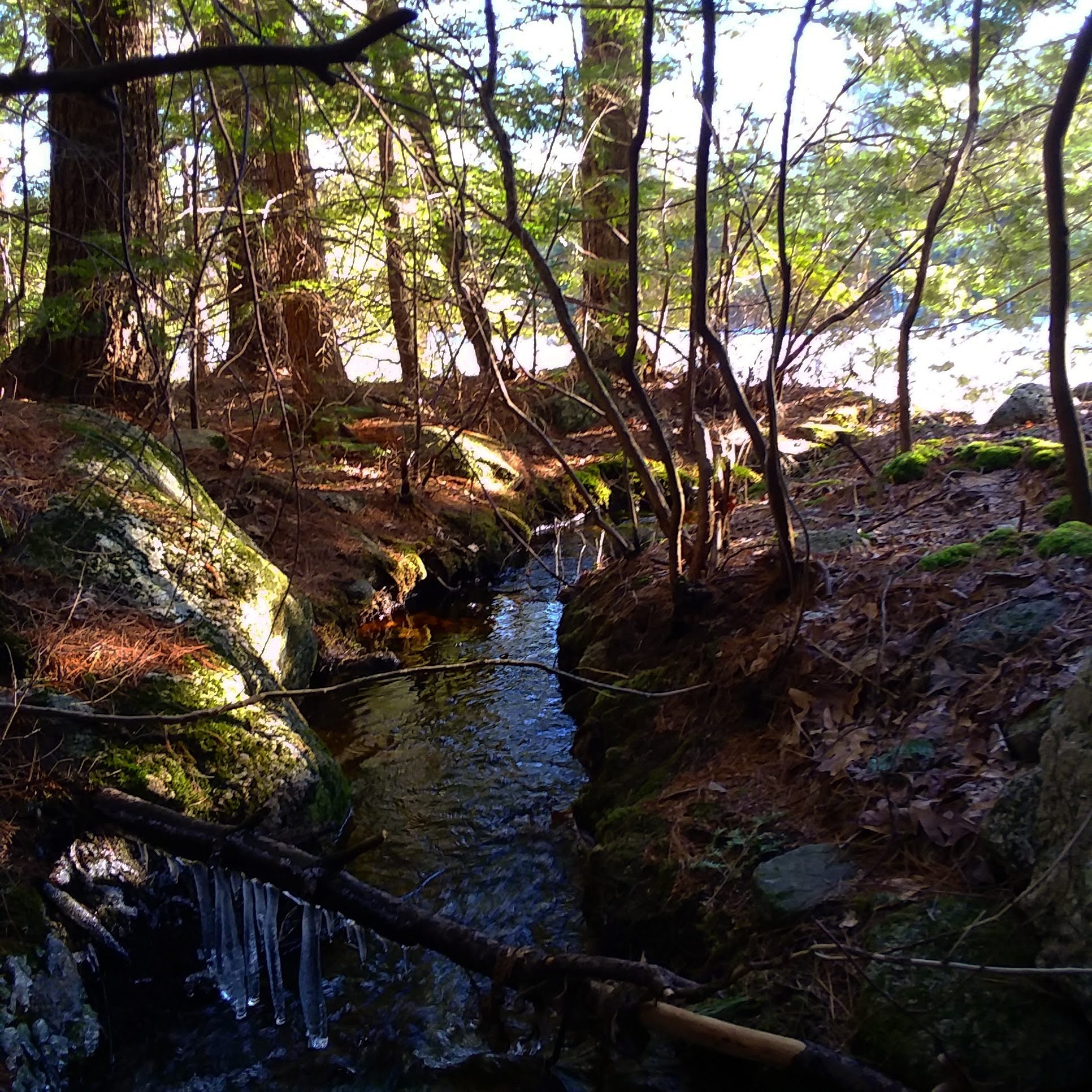 img_20200315_004715_910