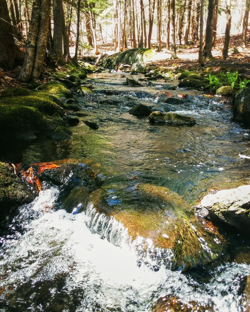 img_20200502_200427_545