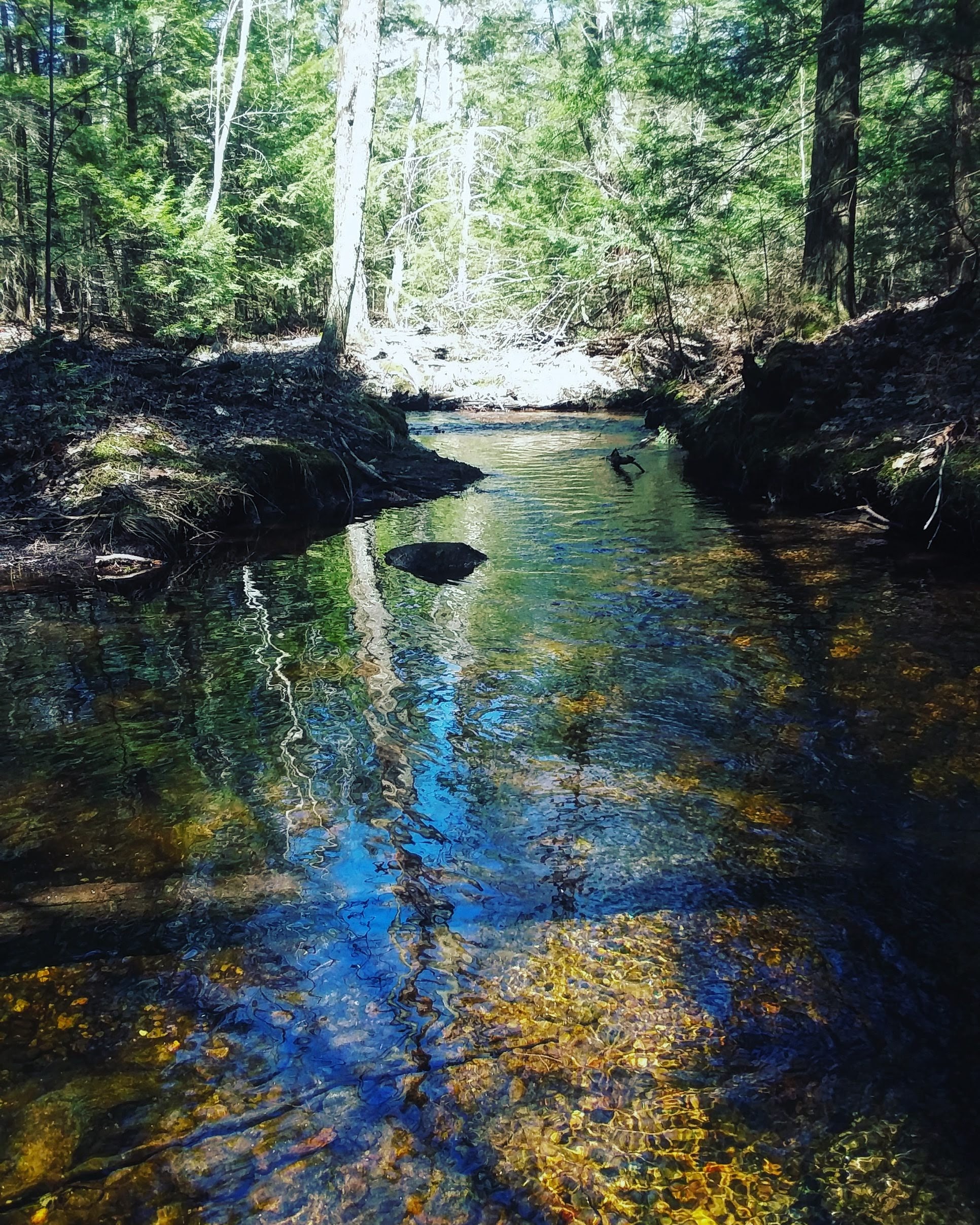 img_20200502_201349_053