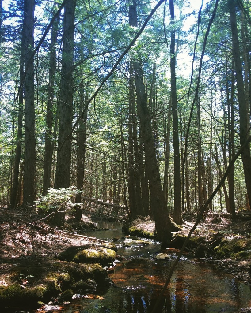 img_20200504_195938_763