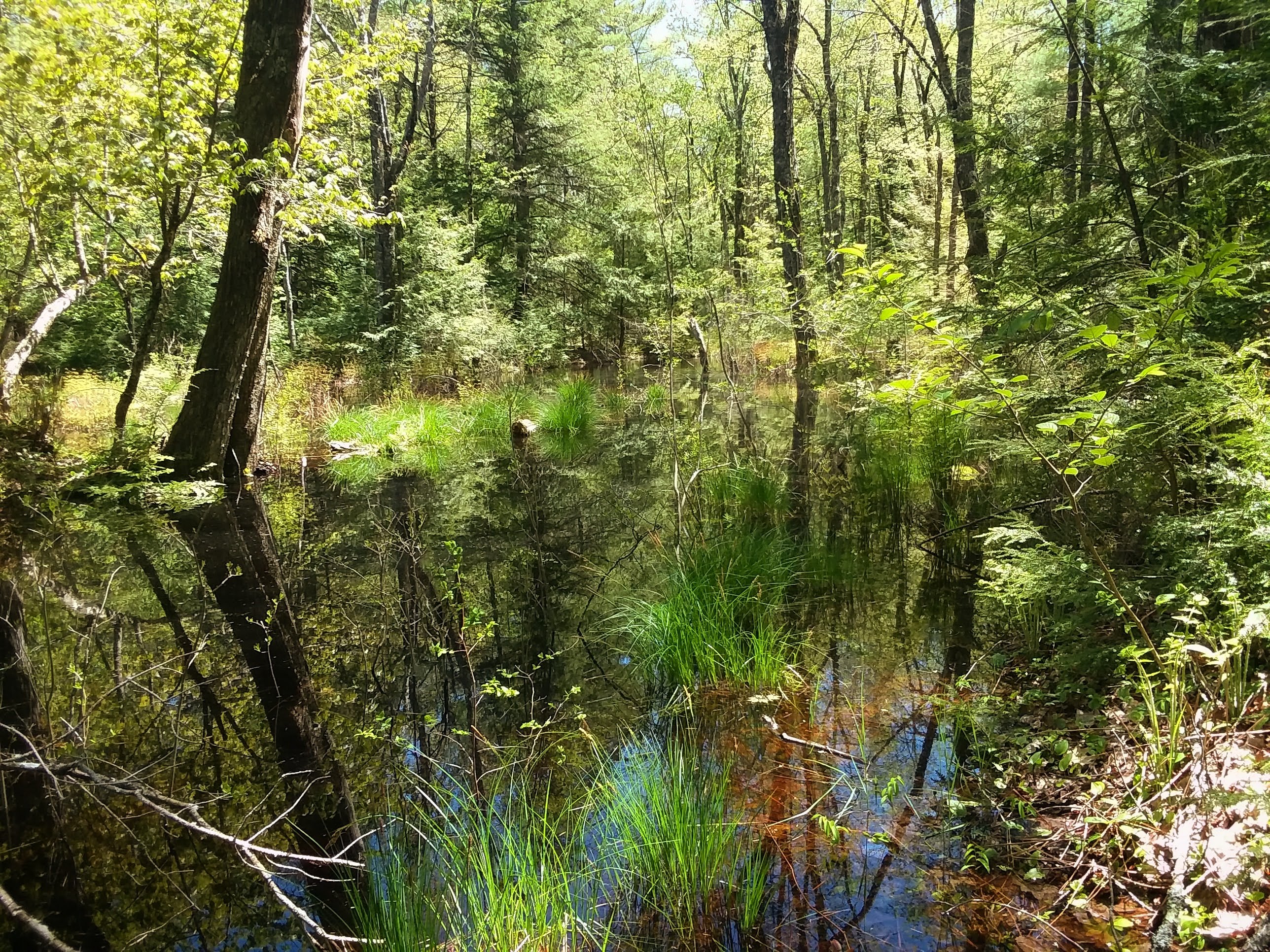 img_20200525_231014_038