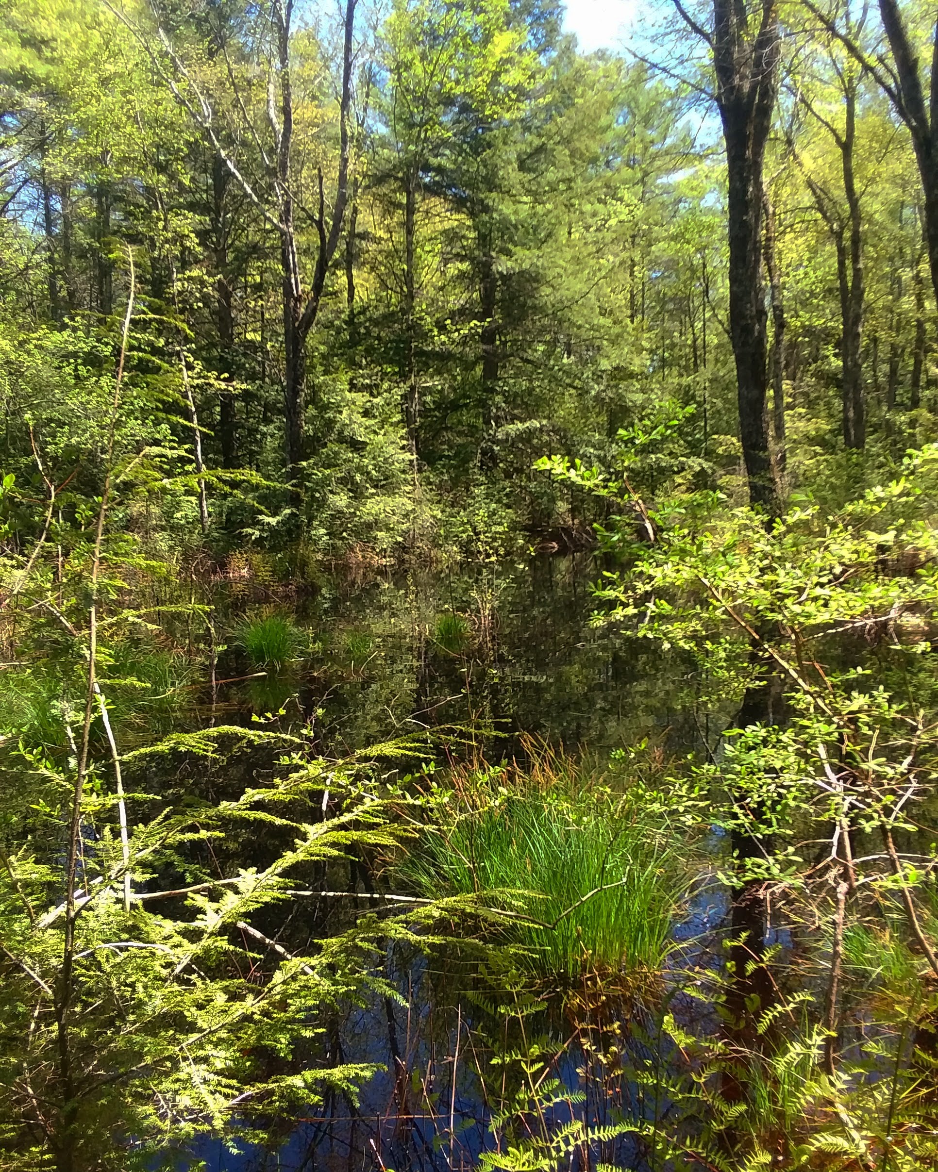 img_20200525_231358_834-1