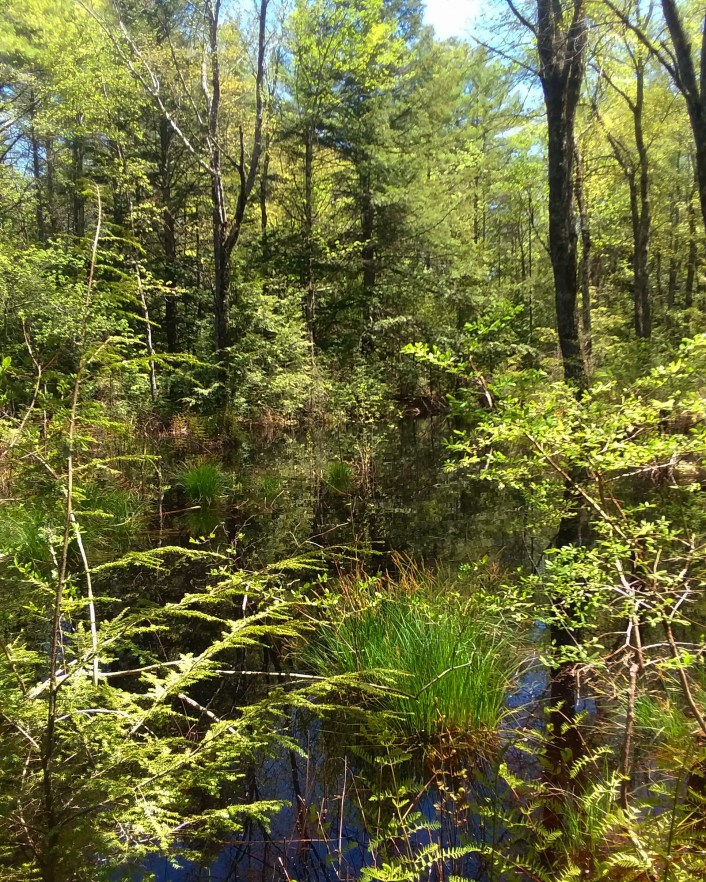 img_20200525_231358_834-1