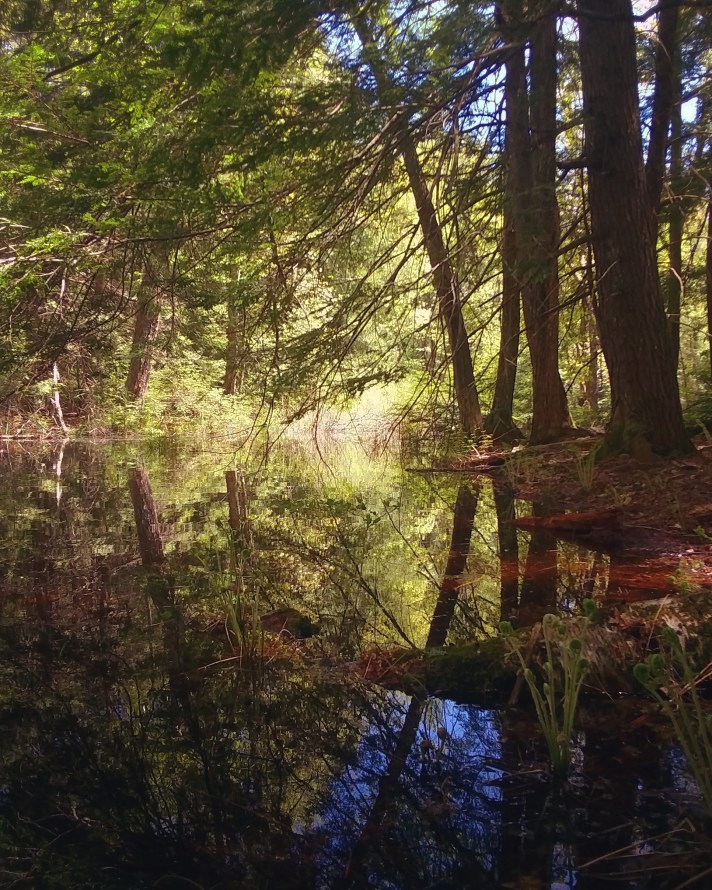 img_20200525_231958_121