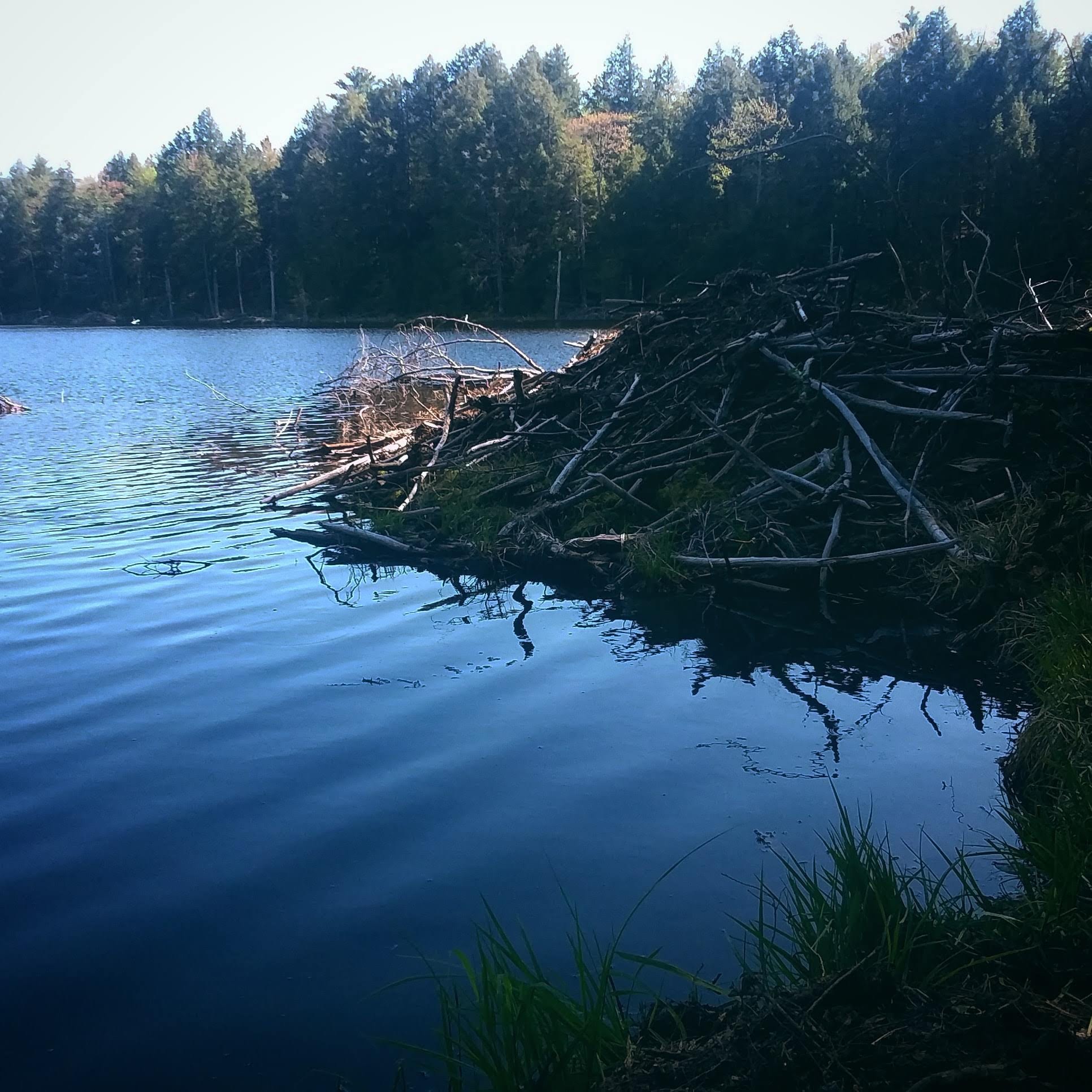 img_20200525_233146_447