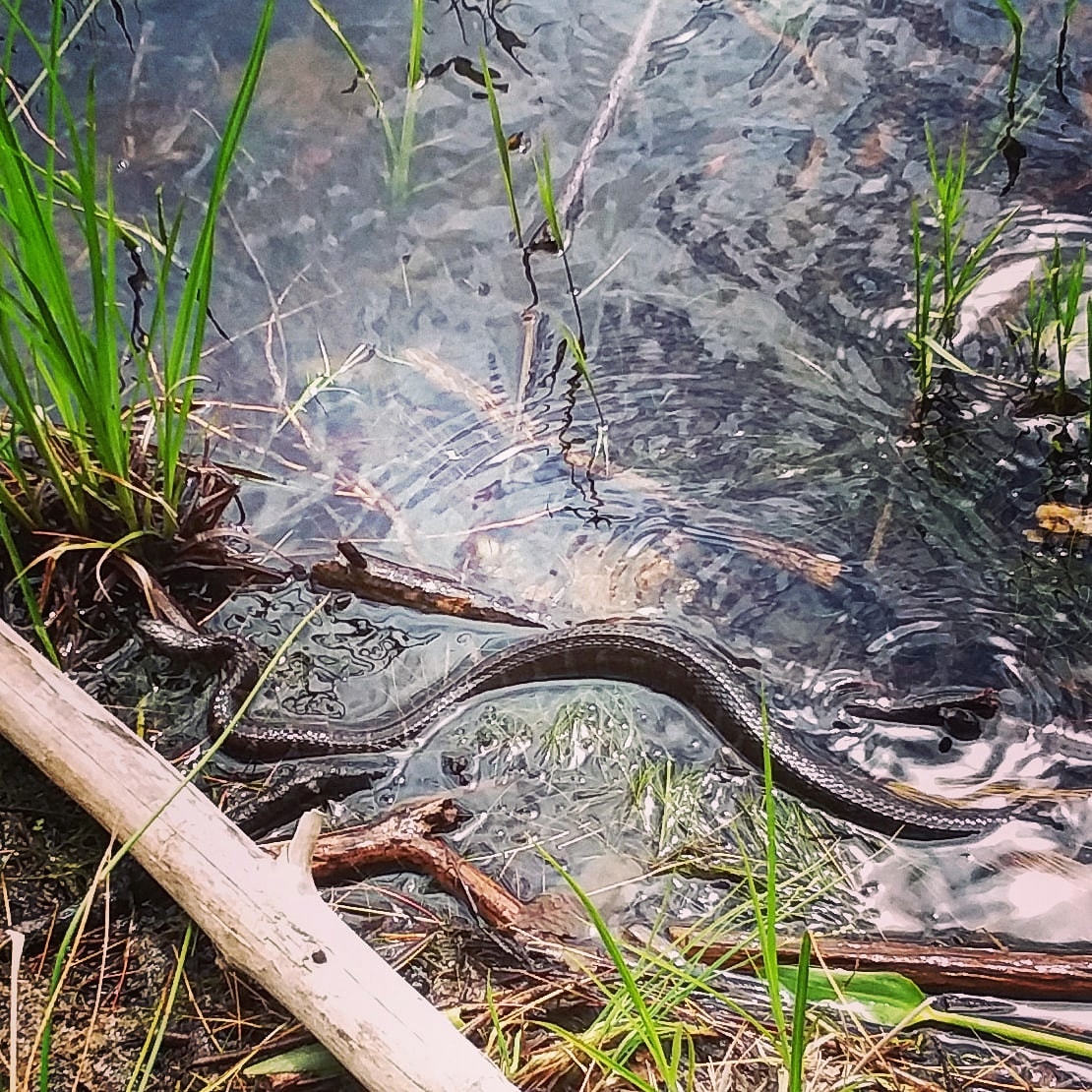 IMG_20200607_001334_873