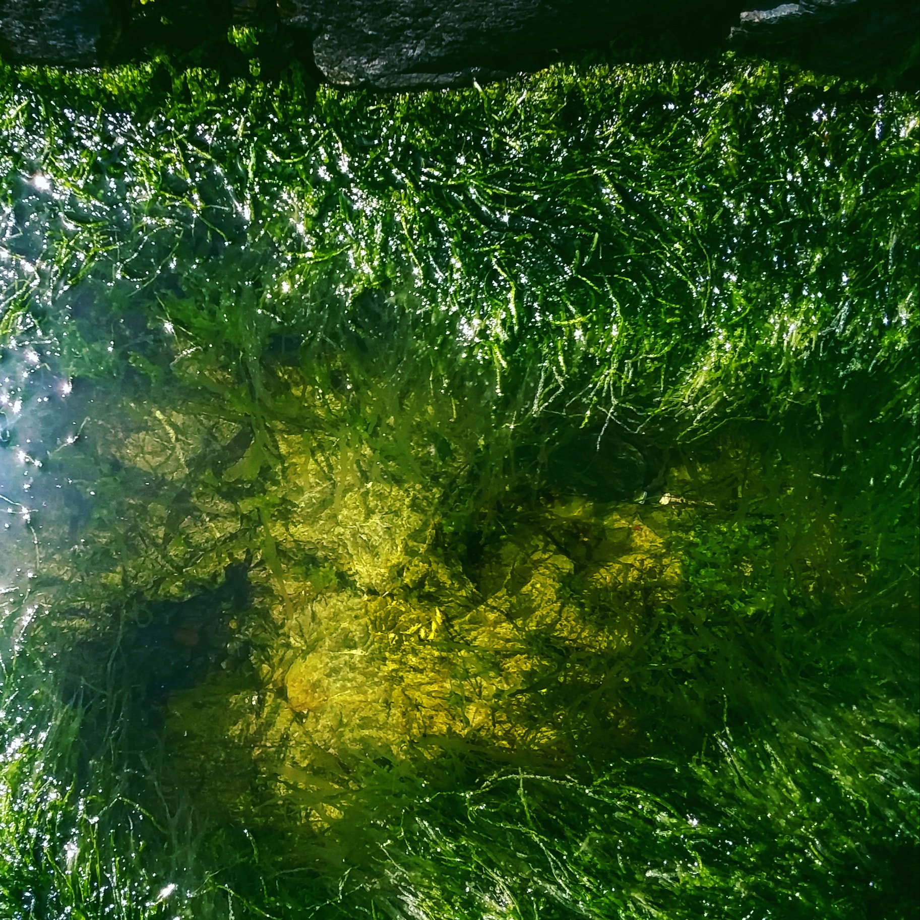 IMG_20200610_180530_107