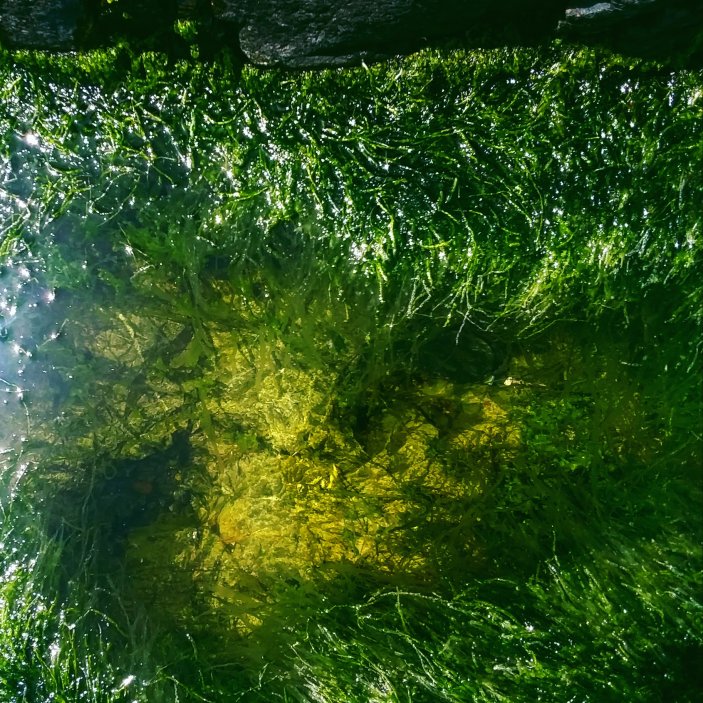 IMG_20200610_180530_107