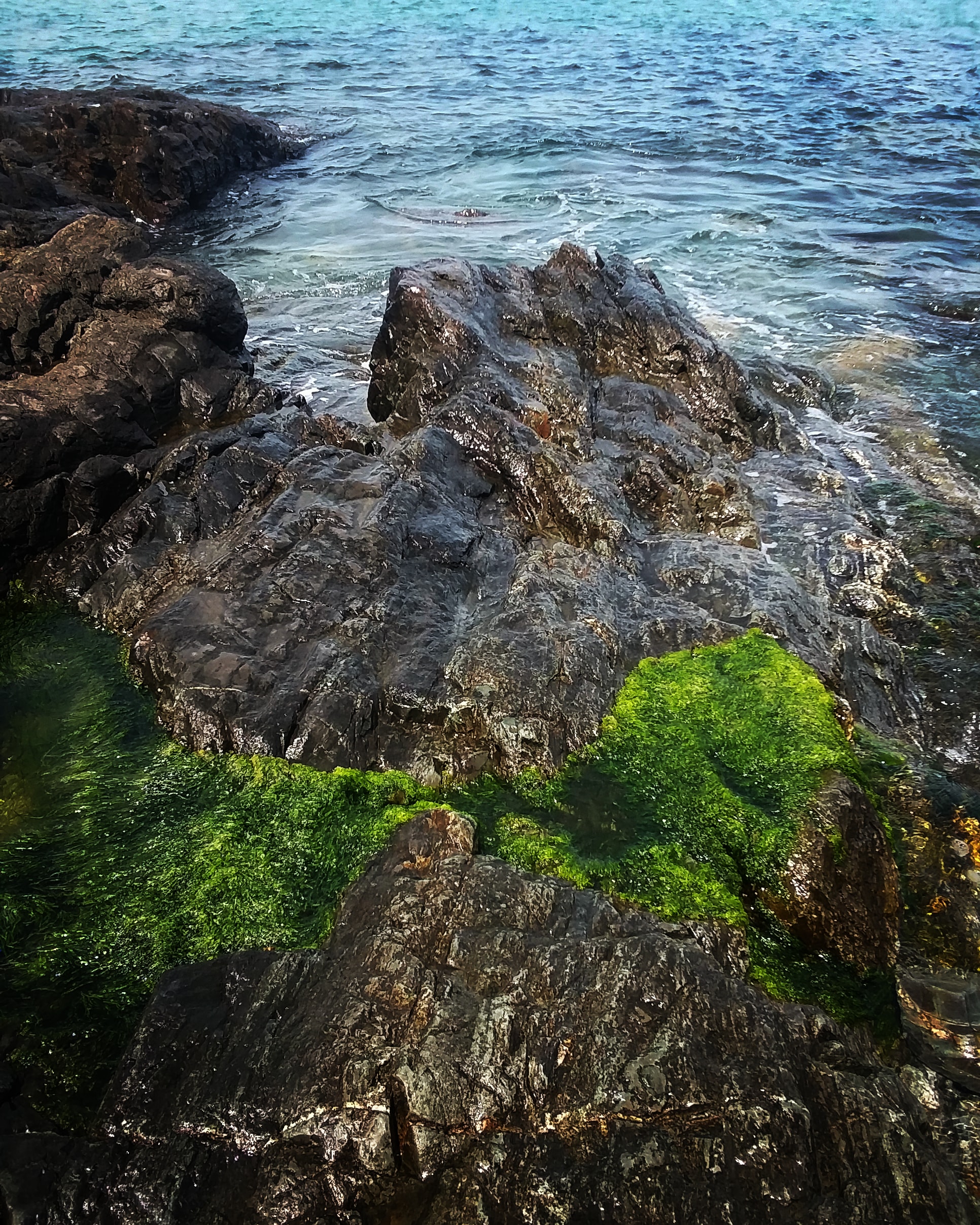 IMG_20200610_181502_340