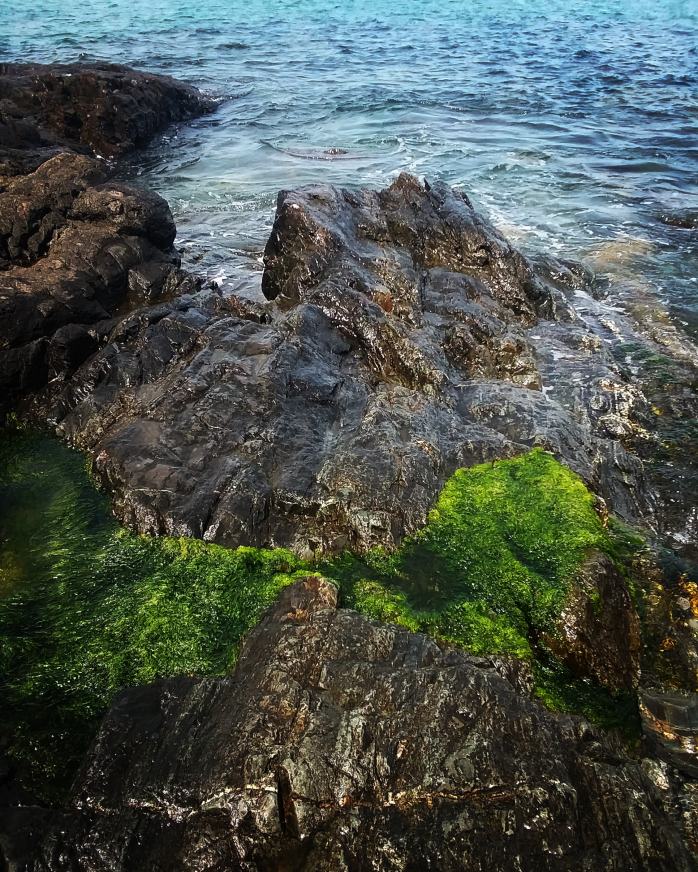 IMG_20200610_181502_340