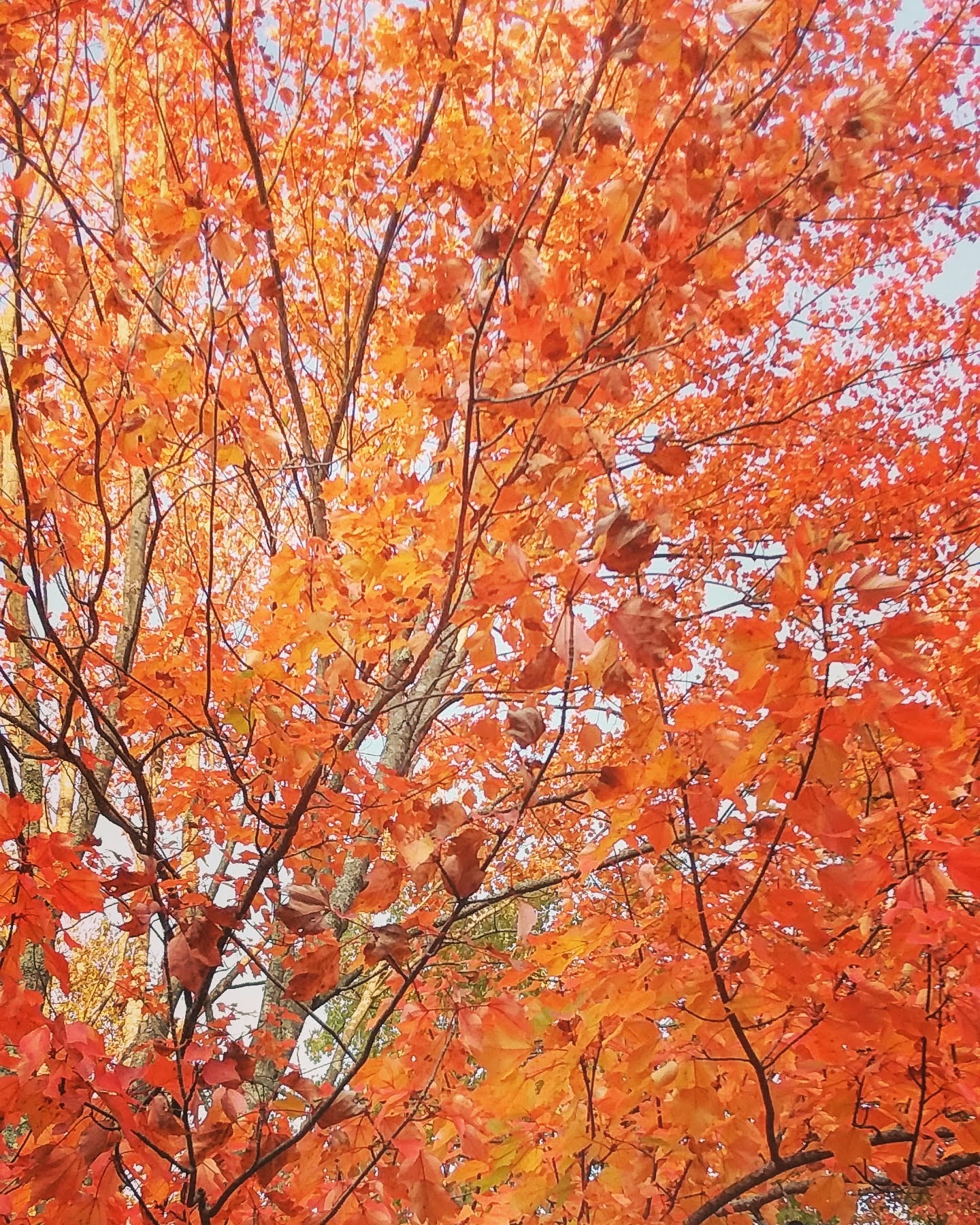 img_20200925_181620_707