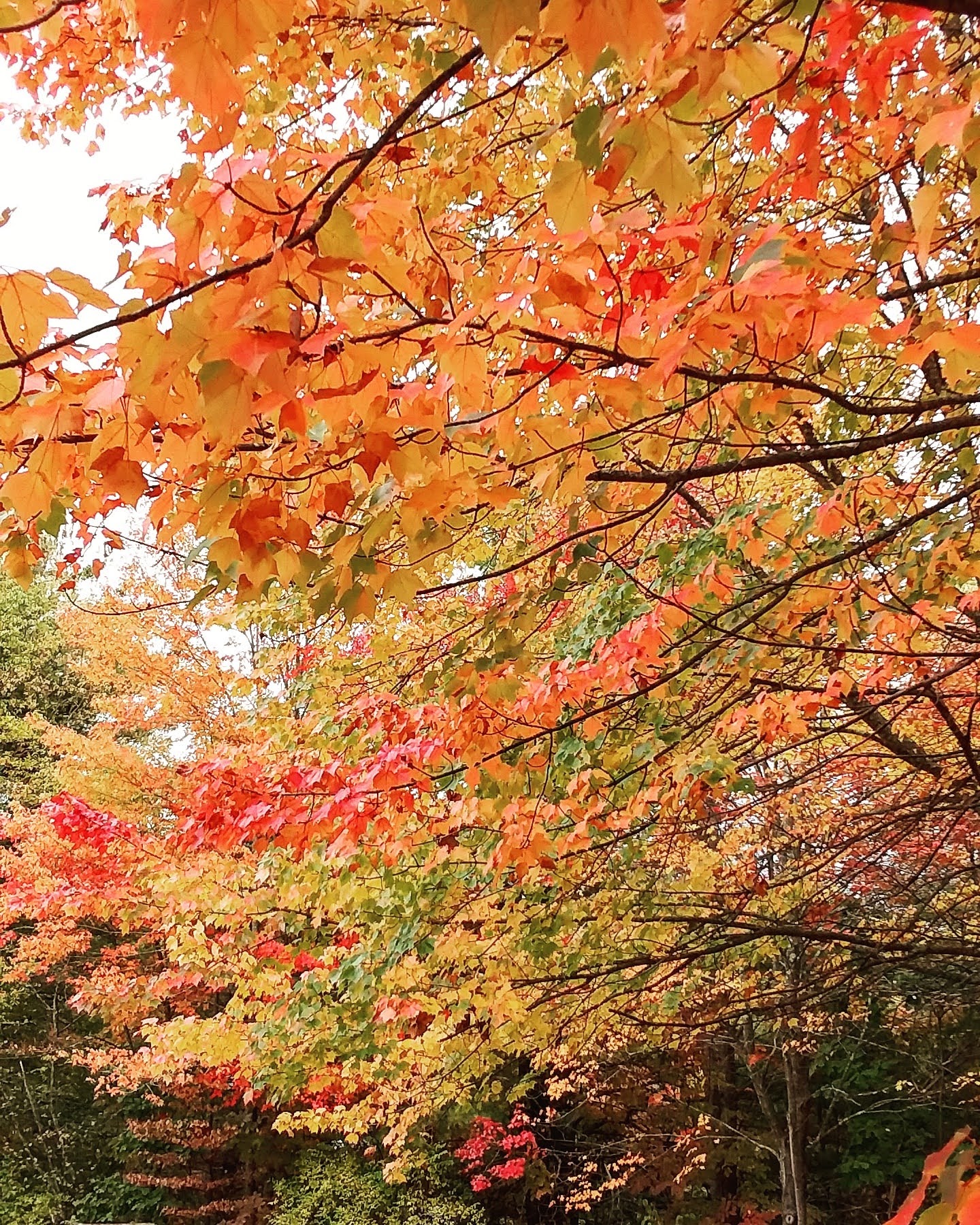 img_20200927_123501_319