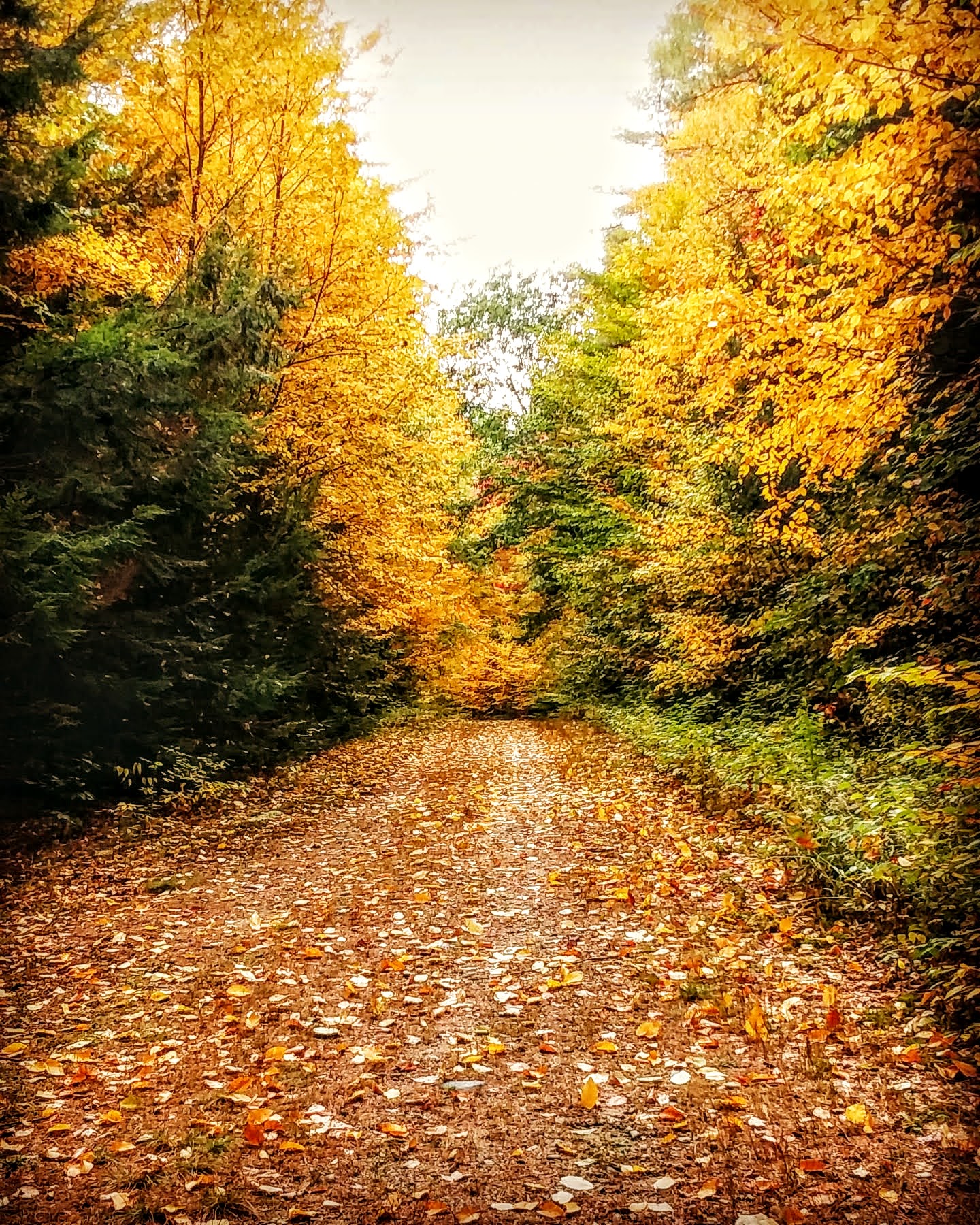 img_20201004_230816_836