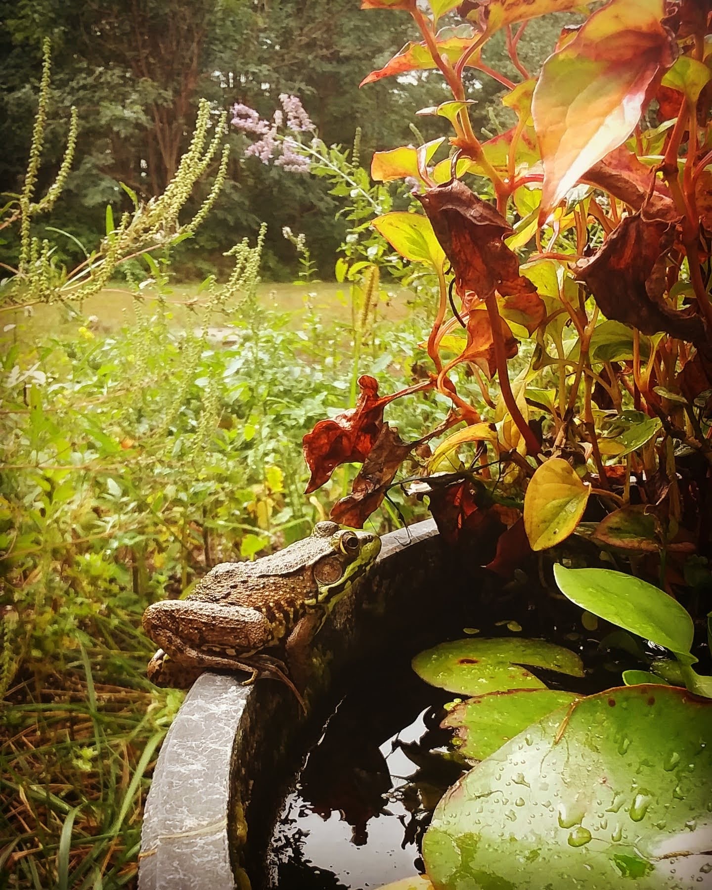 img_20201018_230521_180