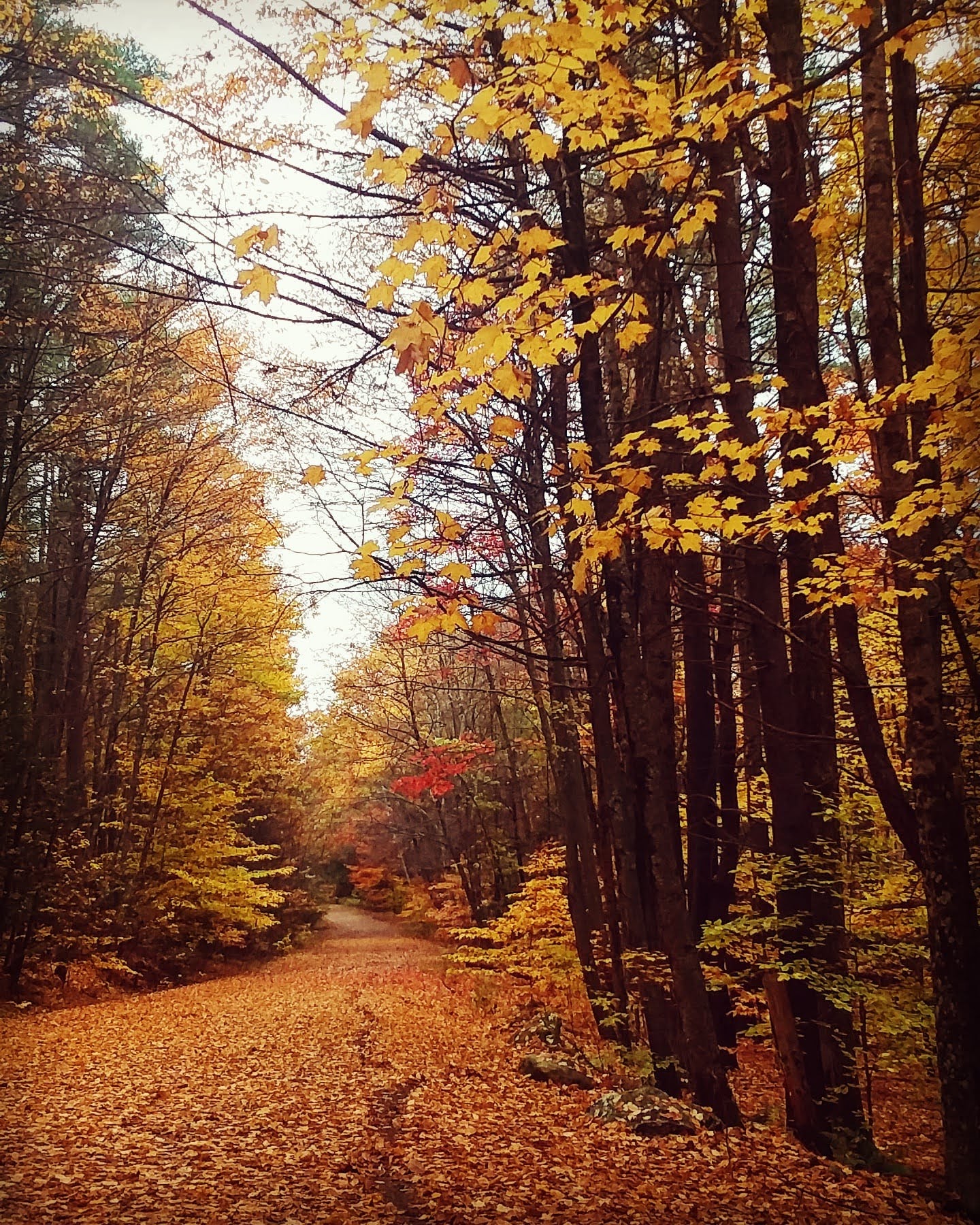 img_20201024_005734_942