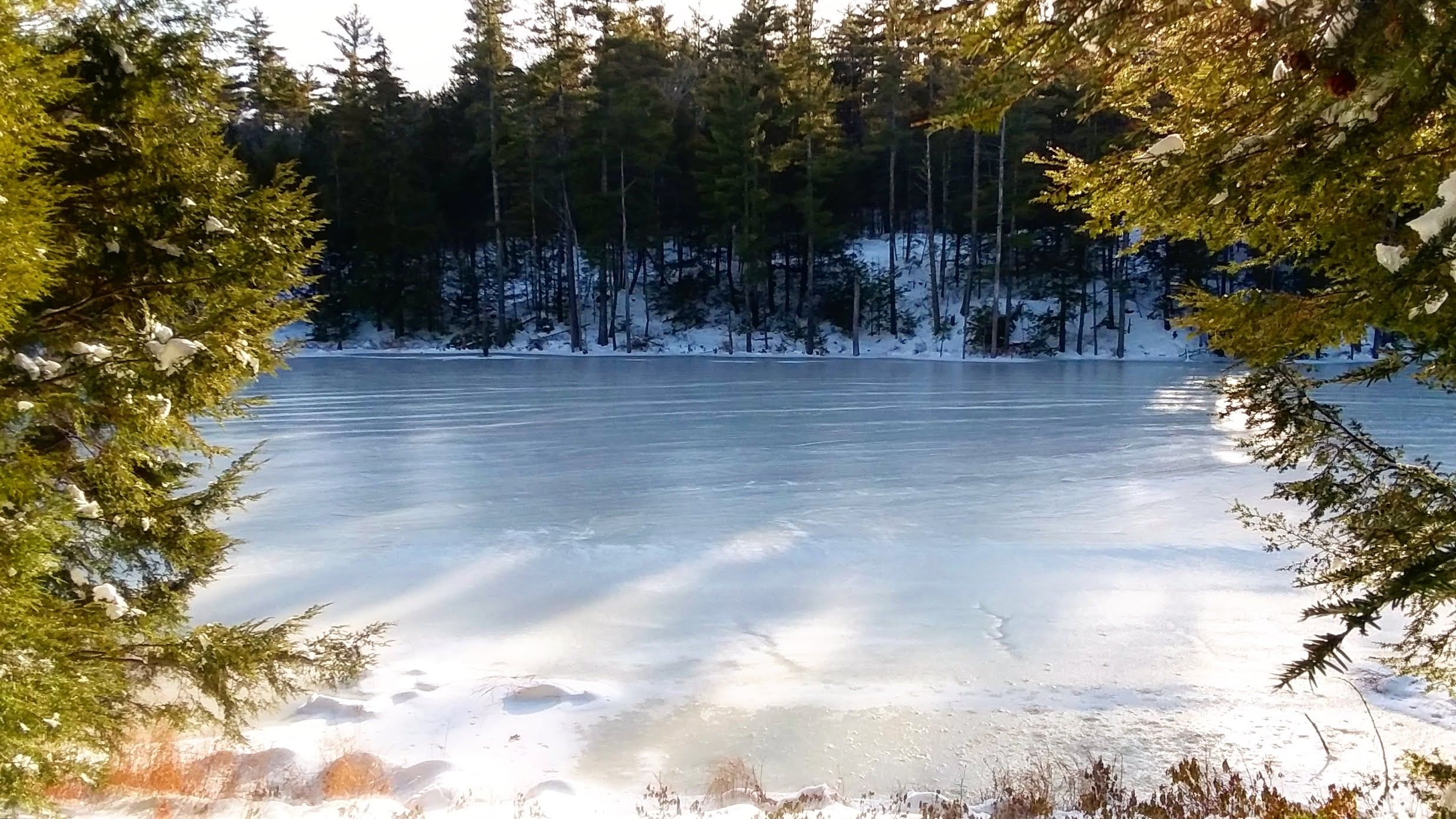 img_20201219_220638_301