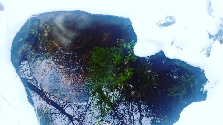 img_20201219_221159_155