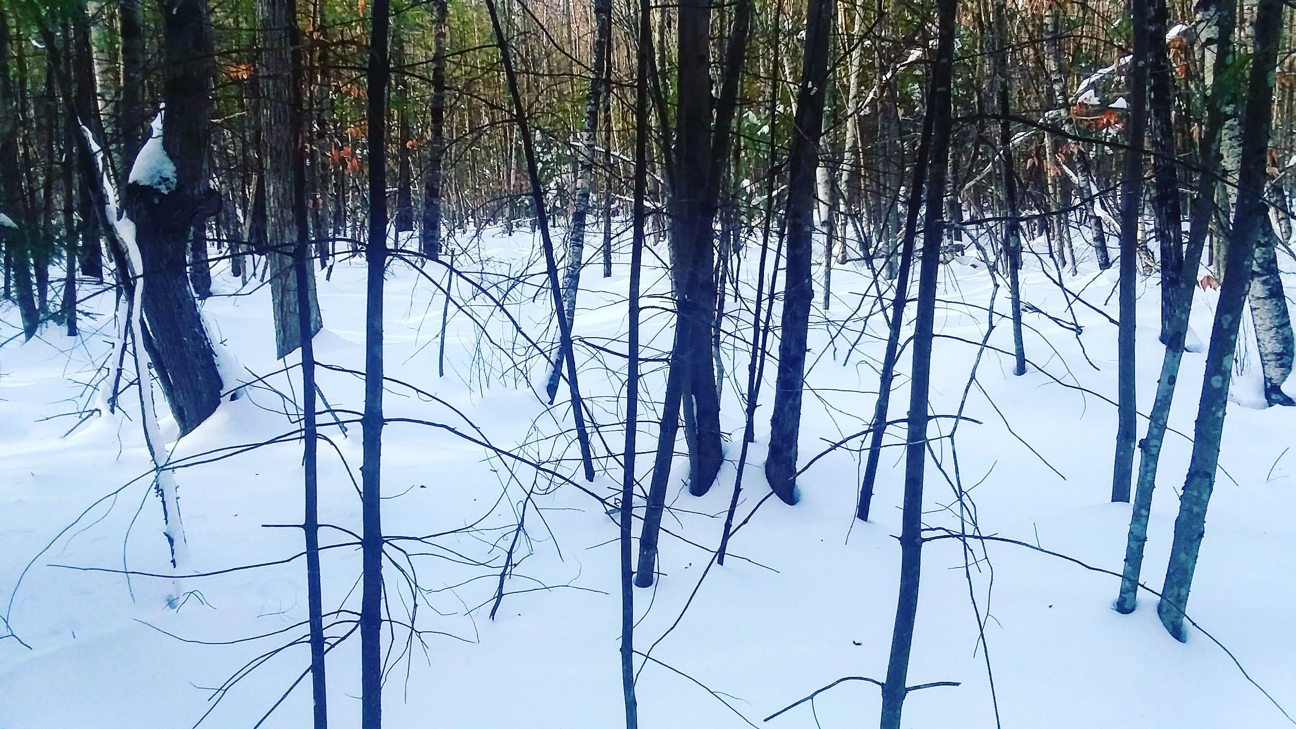 img_20201219_221430_792