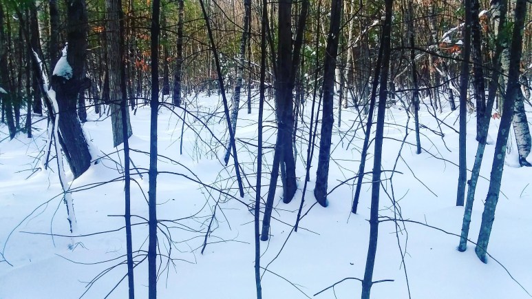 img_20201219_221430_792