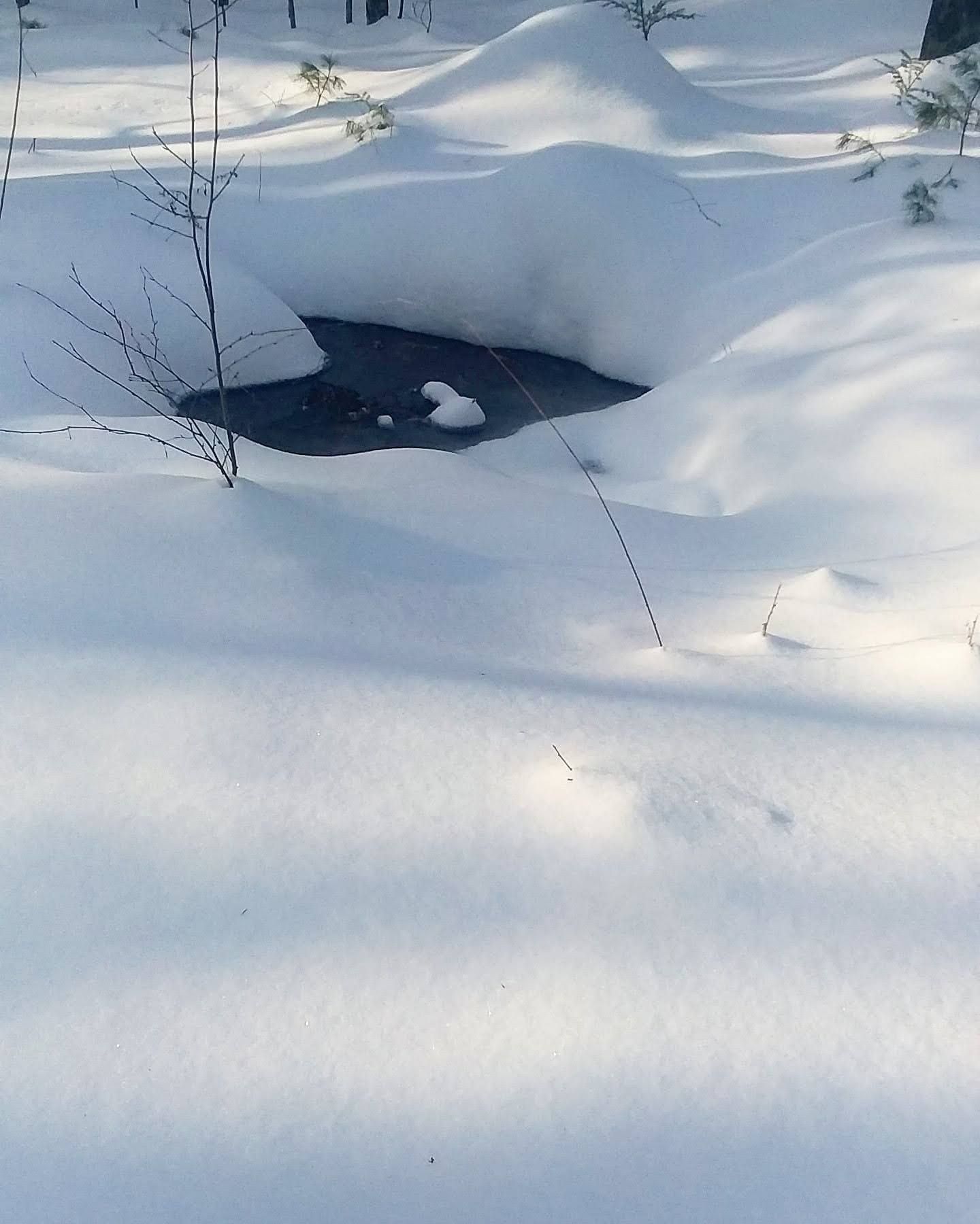 img_20201219_222127_842