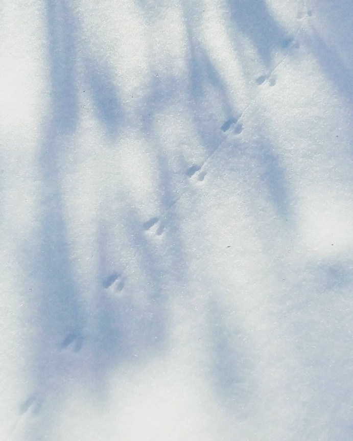 img_20201219_222412_048