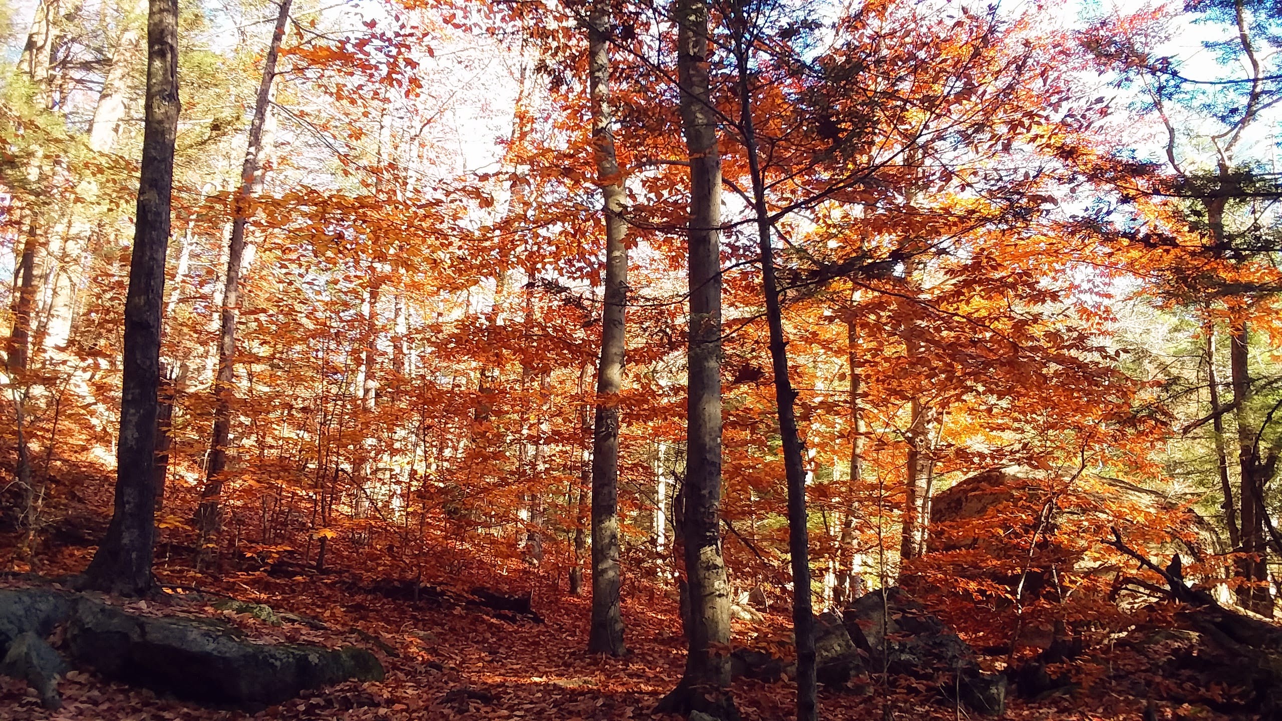 img_20211114_123059_772