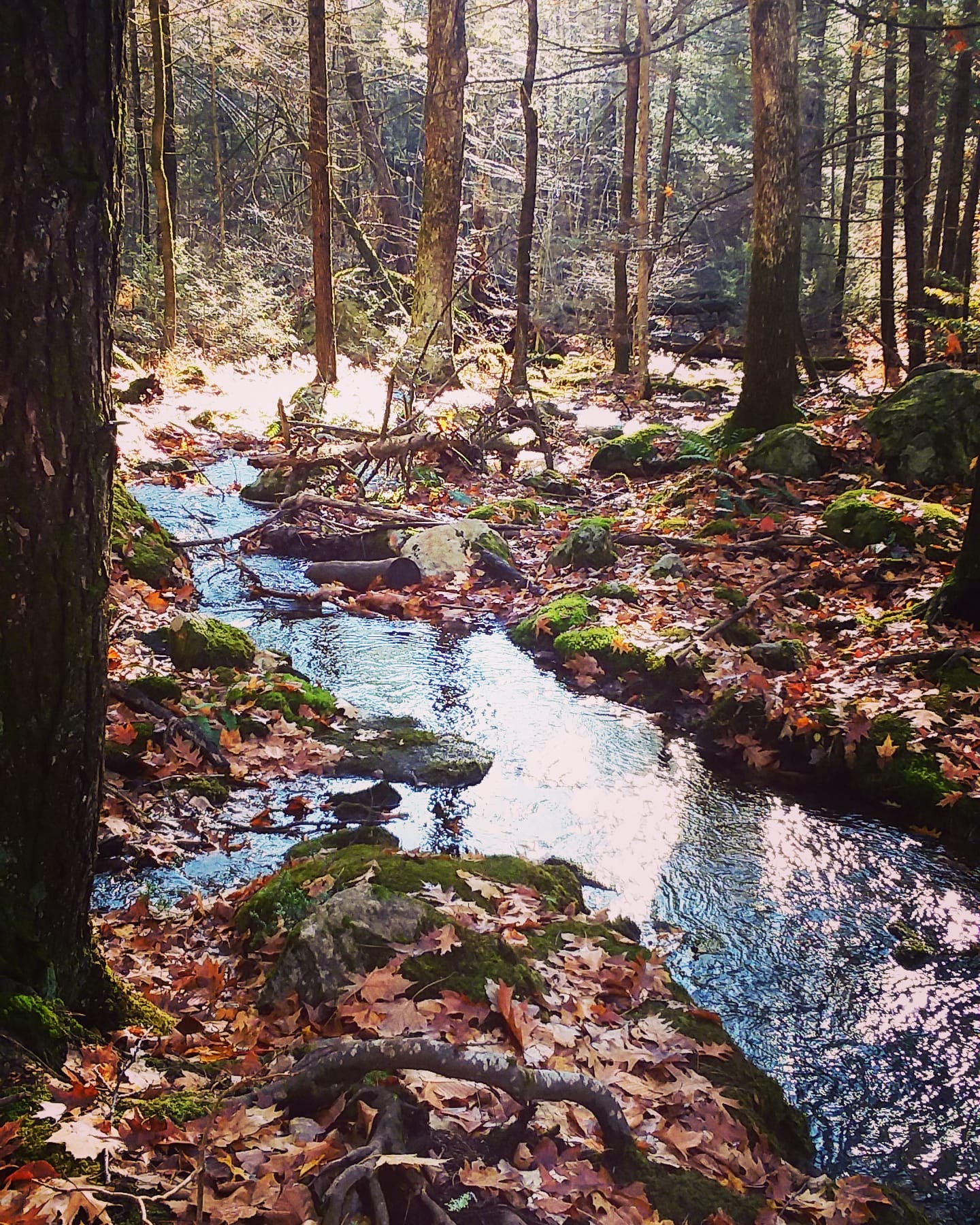 img_20211114_123931_079