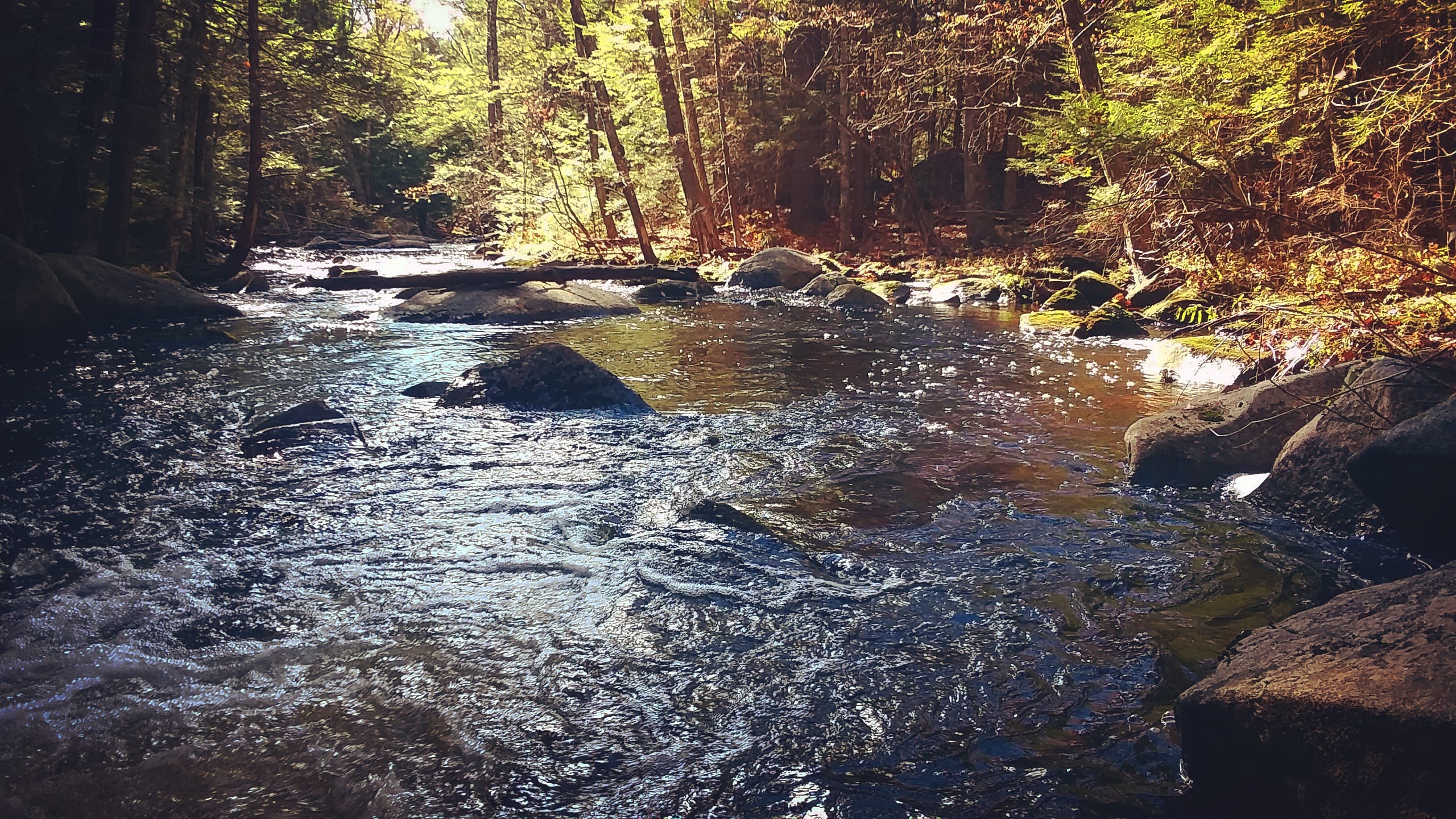 img_20211114_232213_937