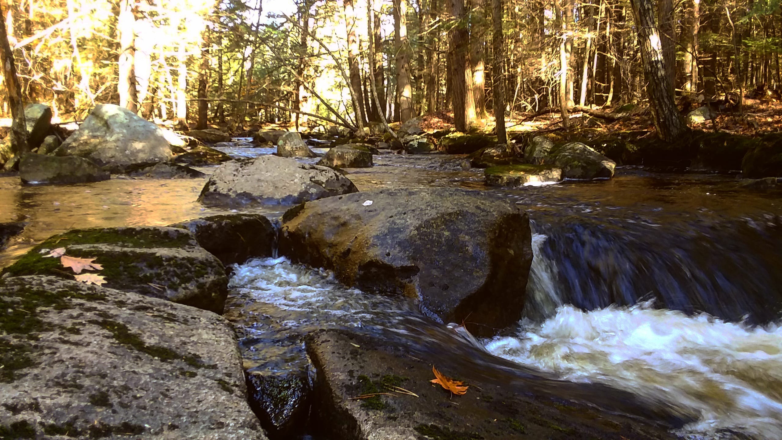 img_20211114_232607_257