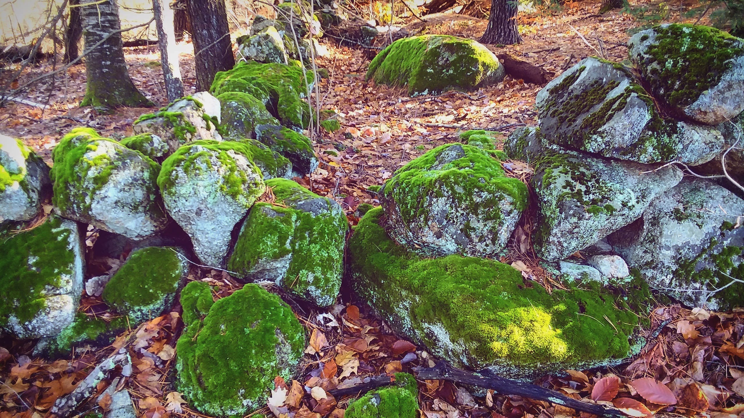 img_20211114_233329_823