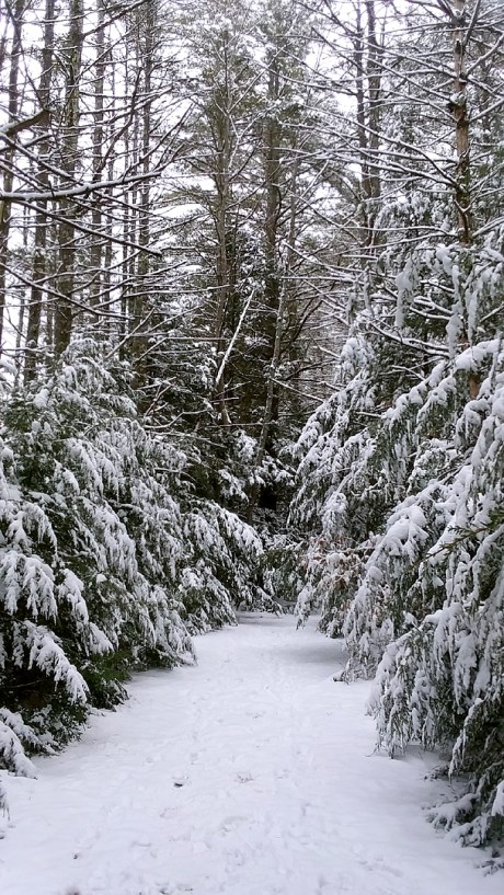 snowpath10