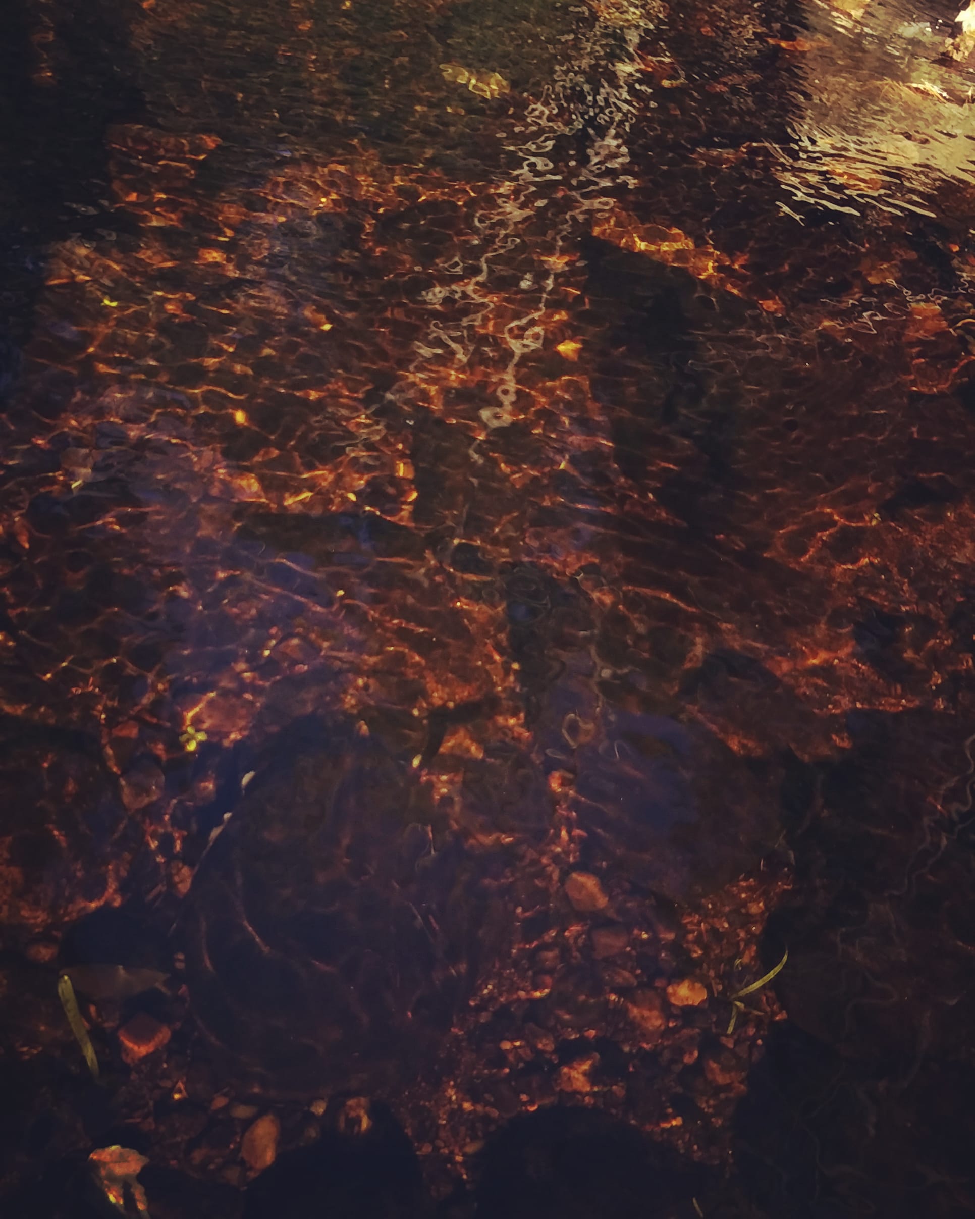 img_20221029_193859_701