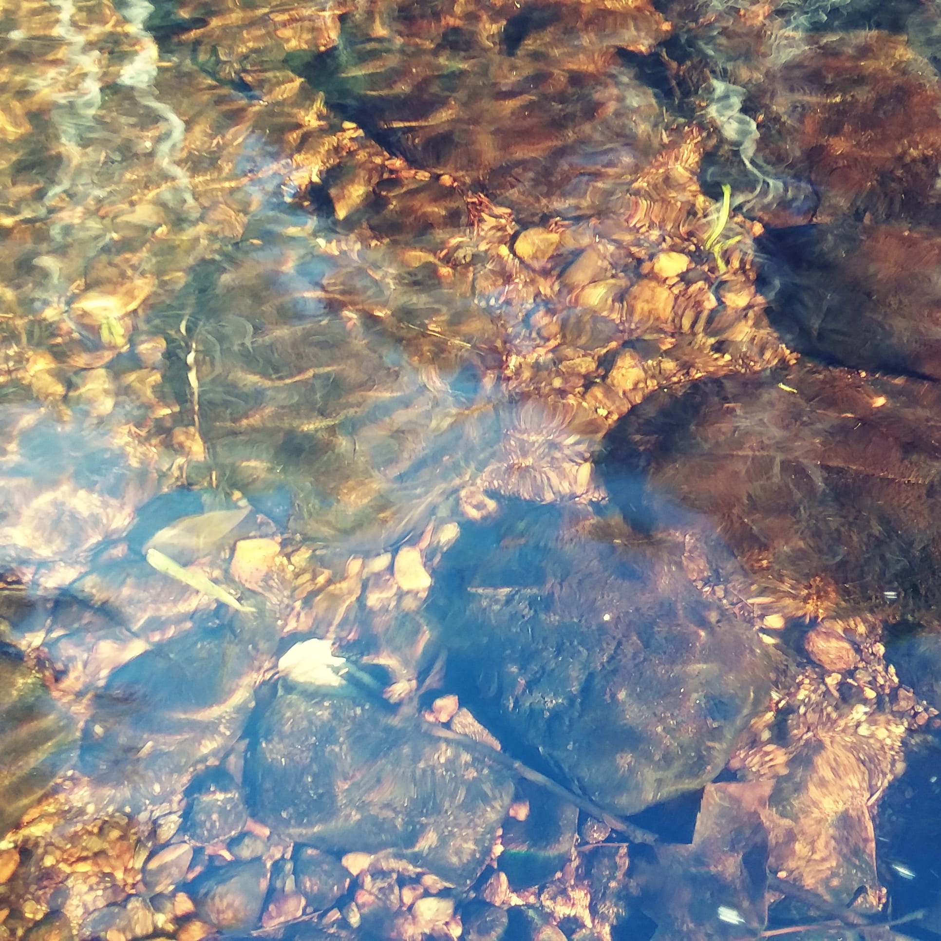 img_20221029_194118_521